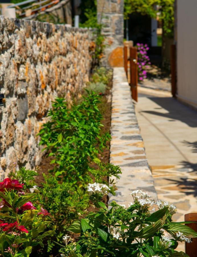 Eleni'S Cozy House Villa อายิโอสนิโกลาโอส ภายนอก รูปภาพ